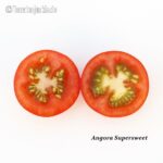 Tomatensorte Angora Supersweet