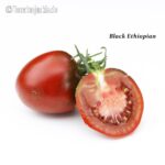 Tomatensorte Black Ethiopian