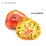 Tomatensorte Captain Lucky