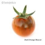 Tomatensorte Dark Orange Muscat