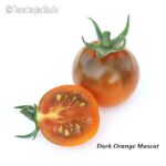 Tomatensorte Dark Orange Muscat
