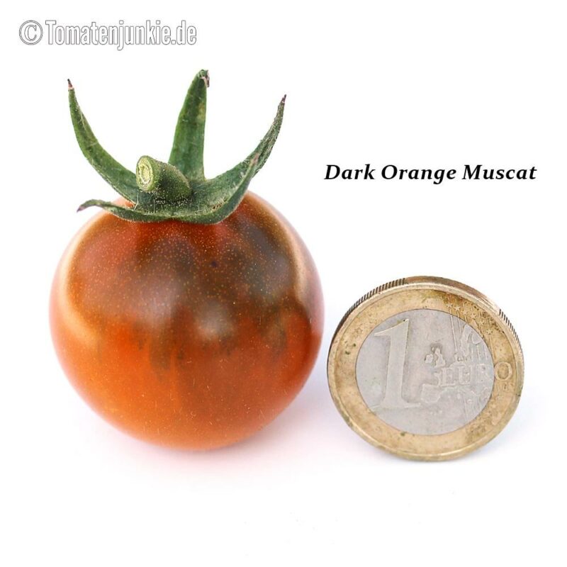 Tomatensorte Dark Orange Muscat