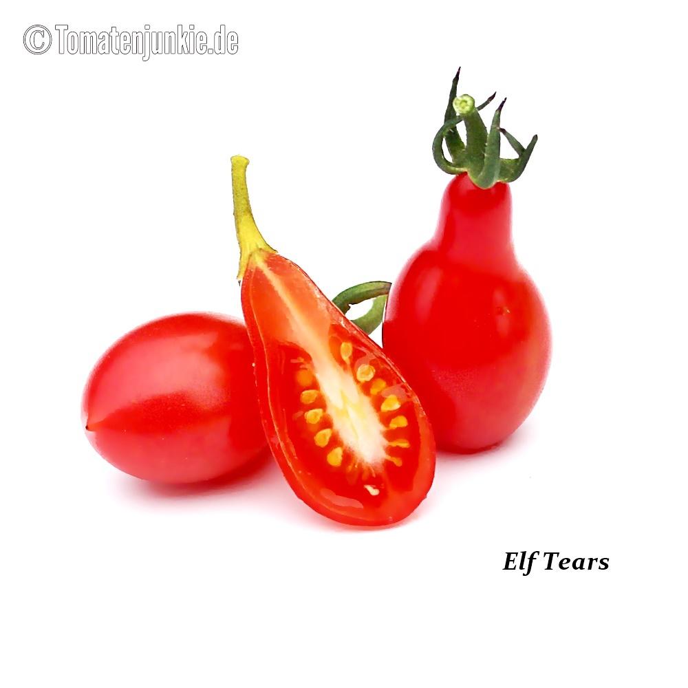 Tomatensorte Elf Tears
