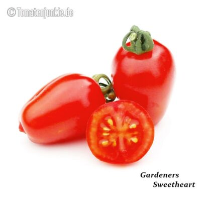 Tomatensorte Gardeners Sweetheart