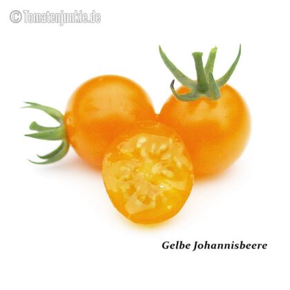 Tomatensorte Gelbe Johannisbeertomate