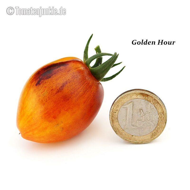 Tomatensorte Golden Hour