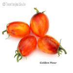 Tomatensorte Golden Hour