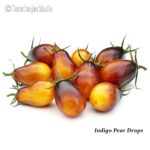 Tomatensorte Indigo Pear Drops