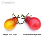 Vergleich Indigo Pear Drops & Indigo Pear Drops Pink