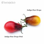 Vergleich Indigo Pear Drops & Indigo Pear Drops Pink