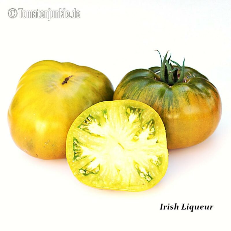 Tomatensorte Irish Liqueur
