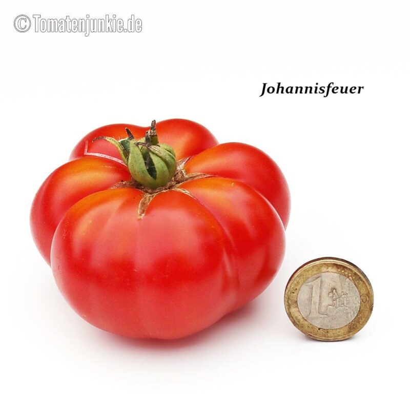 Tomatensorte Johannisfeuer
