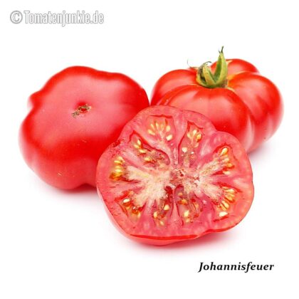Tomatensorte Johannisfeuer