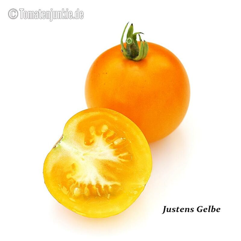 Tomatensorte Justens Gelbe
