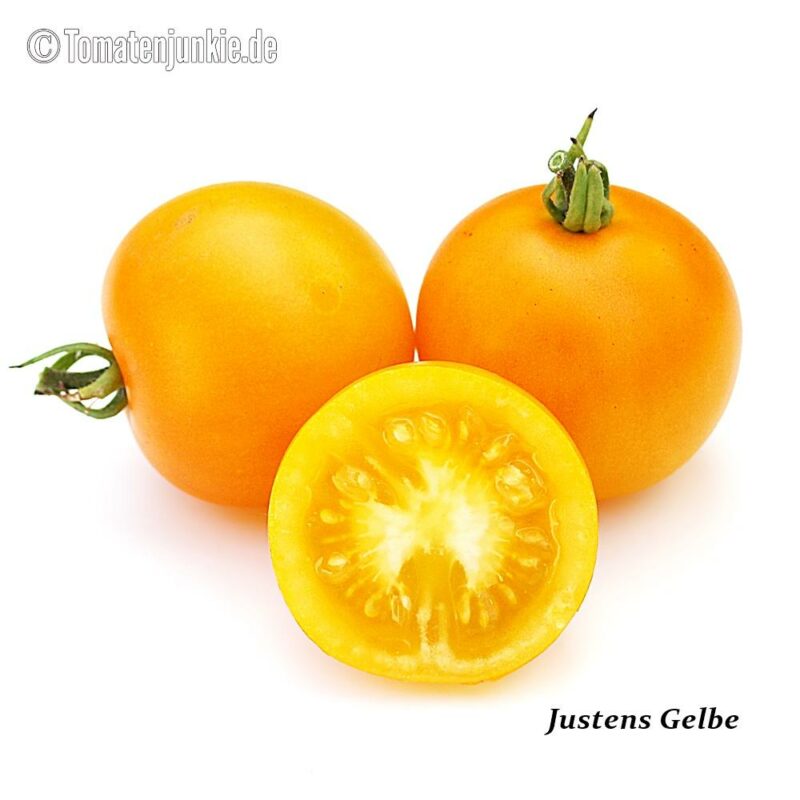 Tomatensorte Justens Gelbe