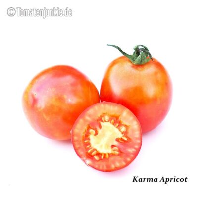 Tomatensorte Karma Apricot