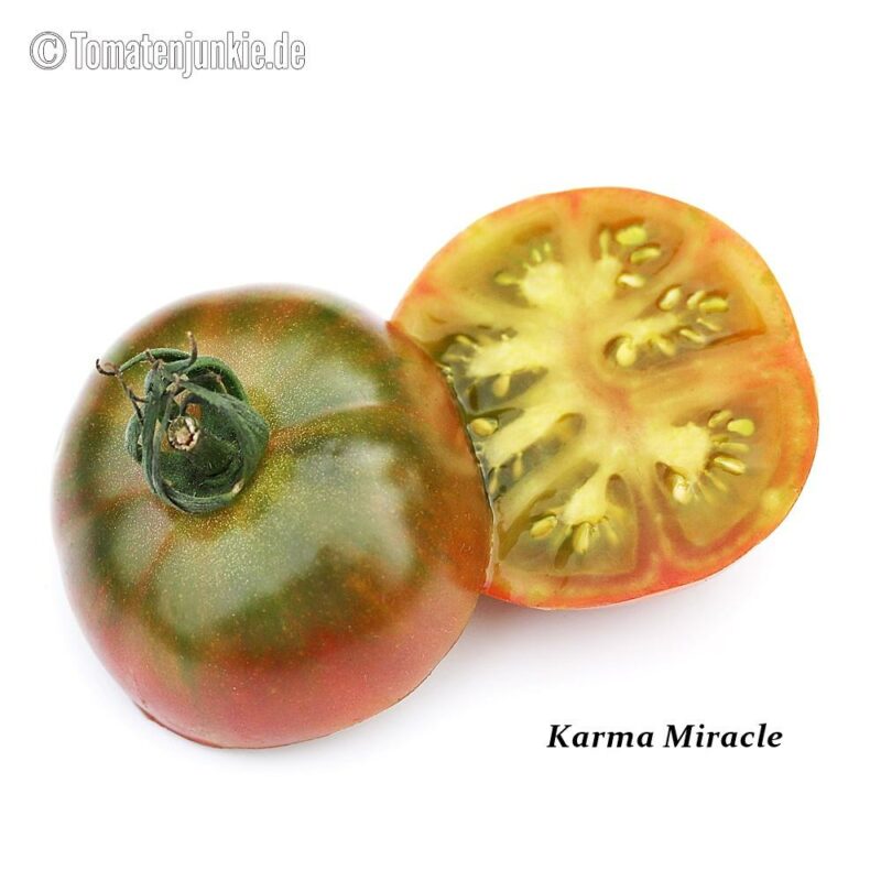 Tomatensorte Karma Miracle