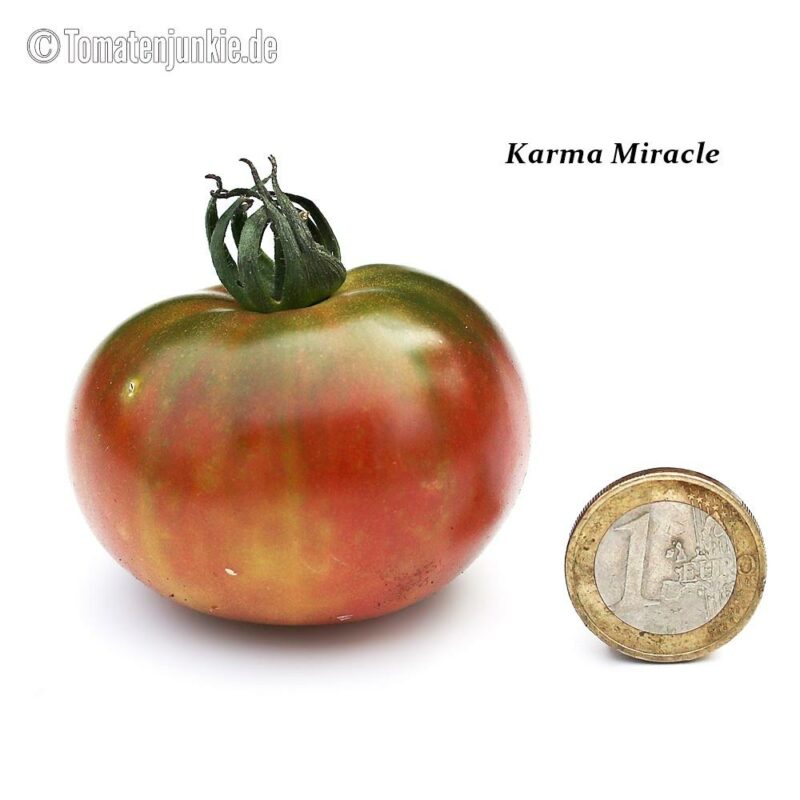 Tomatensorte Karma Miracle