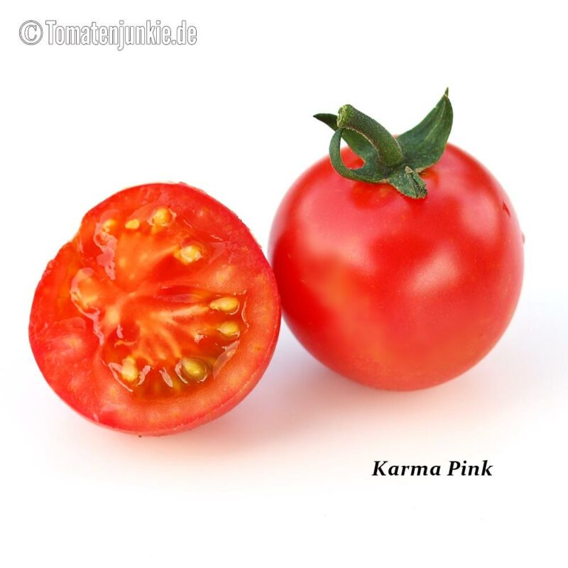 Tomatensorte Karma Pink