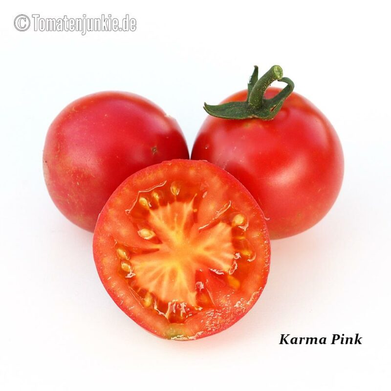 Tomatensorte Karma Pink