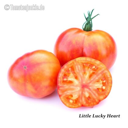 Tomatensorte Little Lucky Heart