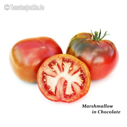 Tomatensorte Marshmallow in Chocolate