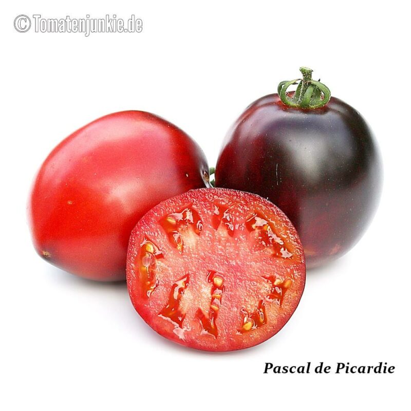 Tomatensorte Pascal de Picardie