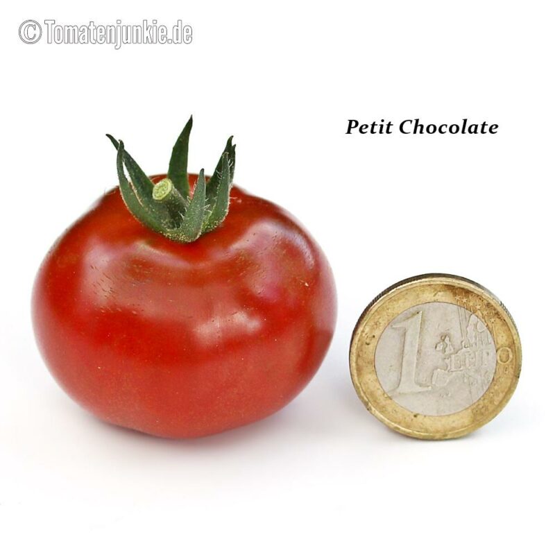 Tomatensorte Petit Chocolate