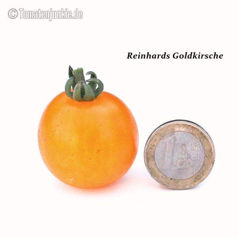 Tomatensorte Reinhards Goldkirsche