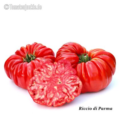 Tomatensorte Riccio di Parma