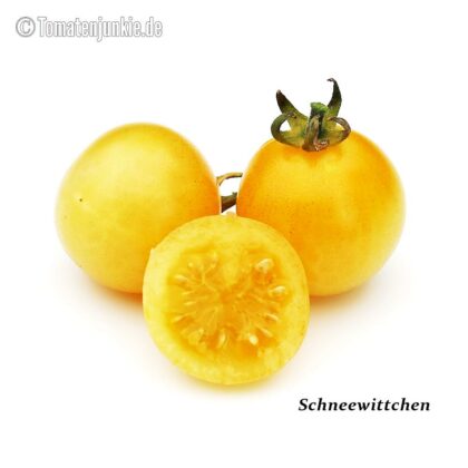 Tomatensorte Schneewittchen