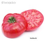 Tomatensorte Soldacki