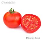 Tomatensorte Dänischer Export