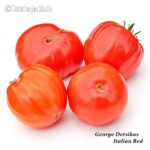 Tomatensorte George Detsikas Italian Red