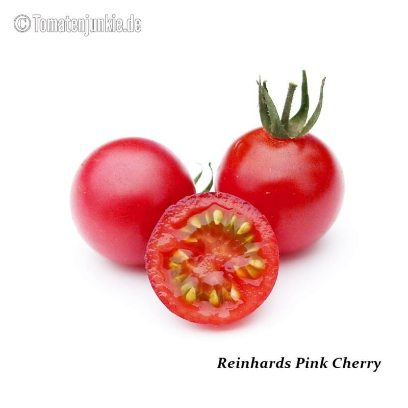 Tomatensorte Reinhard's Pink Cherry