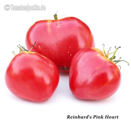 Tomatensorte Reinhard's Pink Heart