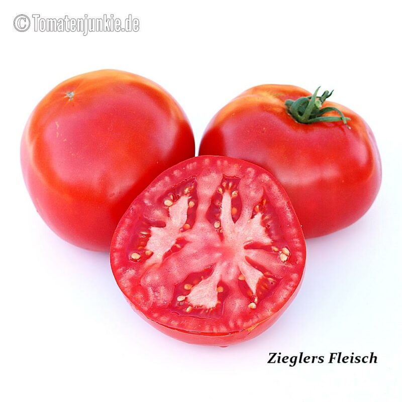 Tomatensorte Zieglers Fleisch