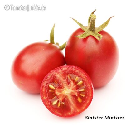Tomatensorte Sinister Minister